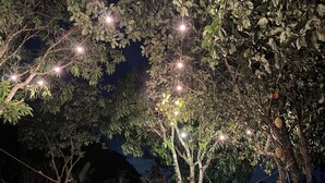 A hammock under a tree with string lights. - Beautiful, fully equipped, and cozy country house for 10 people comfortably. (Salto de Pirapora)