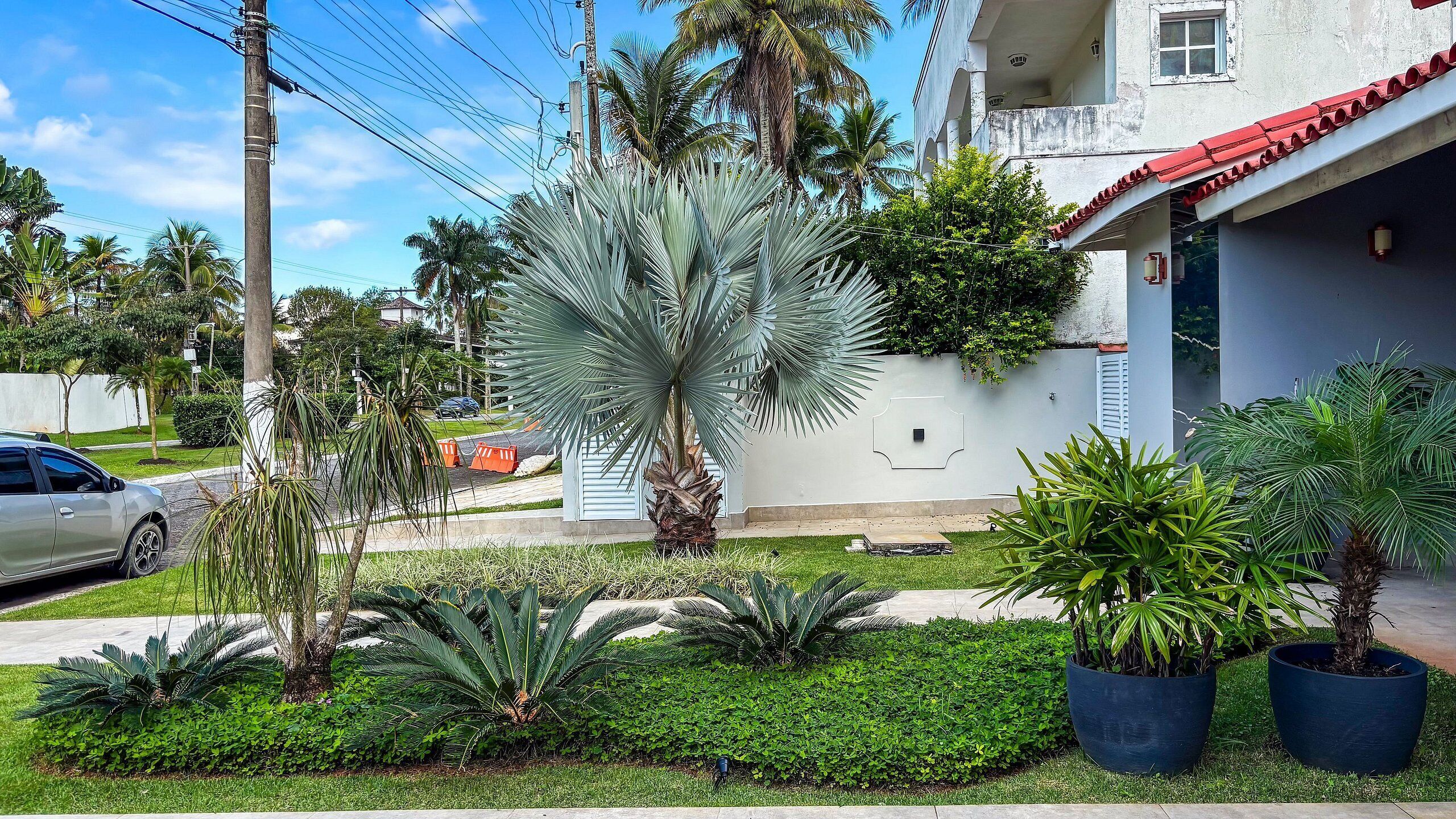 Uma área residencial com um edifício branco, uma palmeira e um carro estacionado na rua.