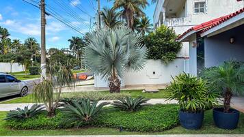 Uma área residencial com um edifício branco, uma palmeira e um carro estacionado na rua.