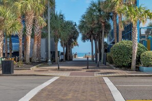 A paved walkway lined with palm trees, leading to a beach. - Myrtle Blue Retreat 1BR Oceanfront Yachtsman 905 (Myrtle Beach)
