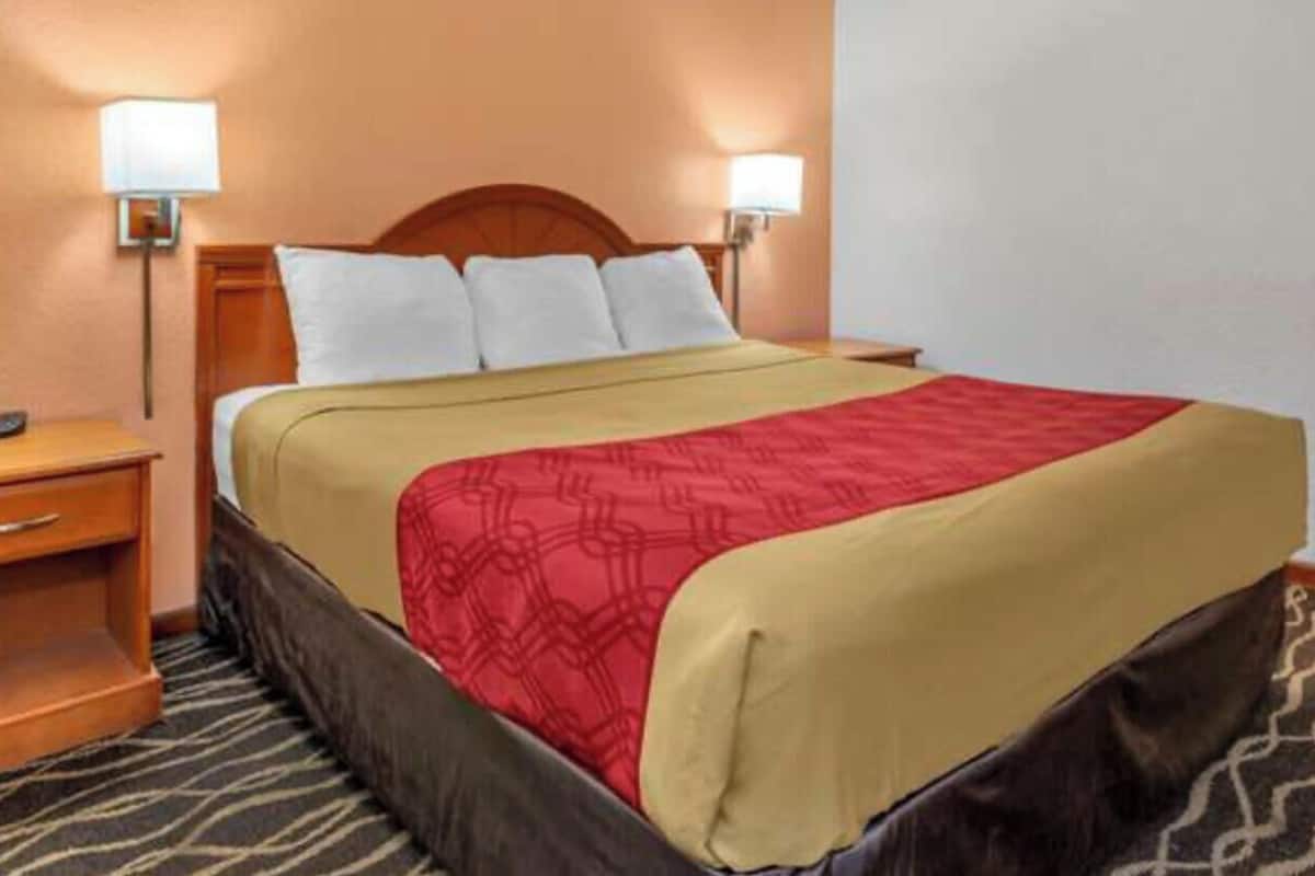Standard Room | Desk, laptop workspace, blackout drapes, iron/ironing board