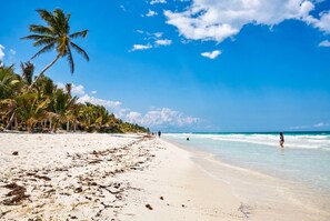 Uma praia com palmeiras, céu azul límpido e ondas do oceano.