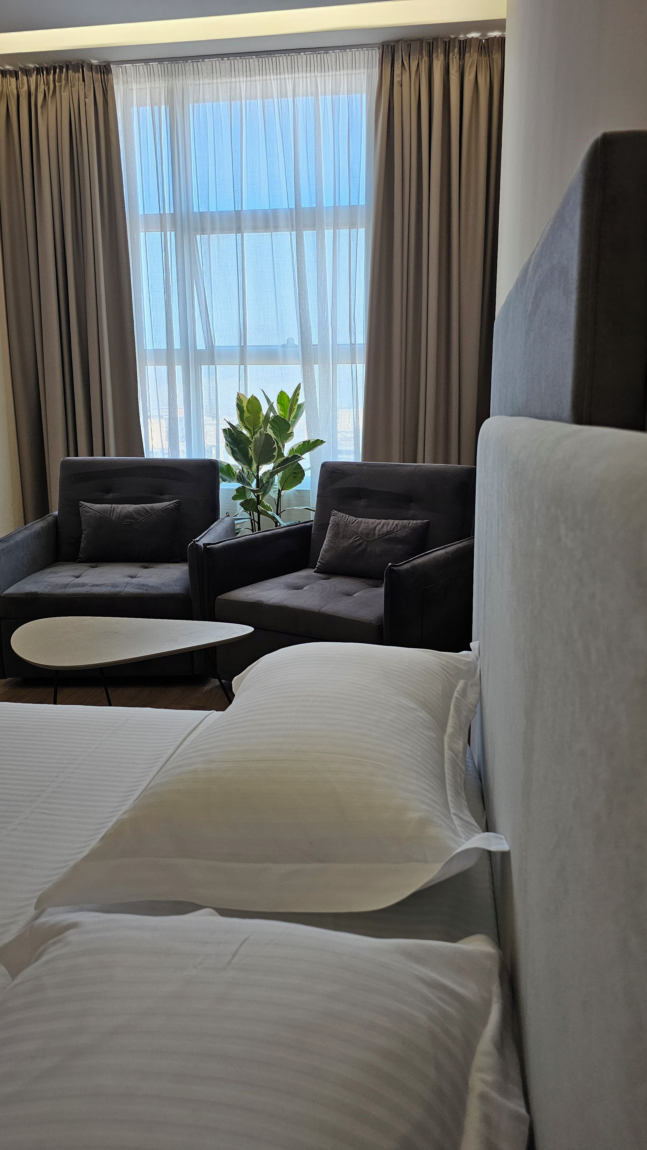 A hotel room with a bed, two armchairs, a small table, and a potted plant.