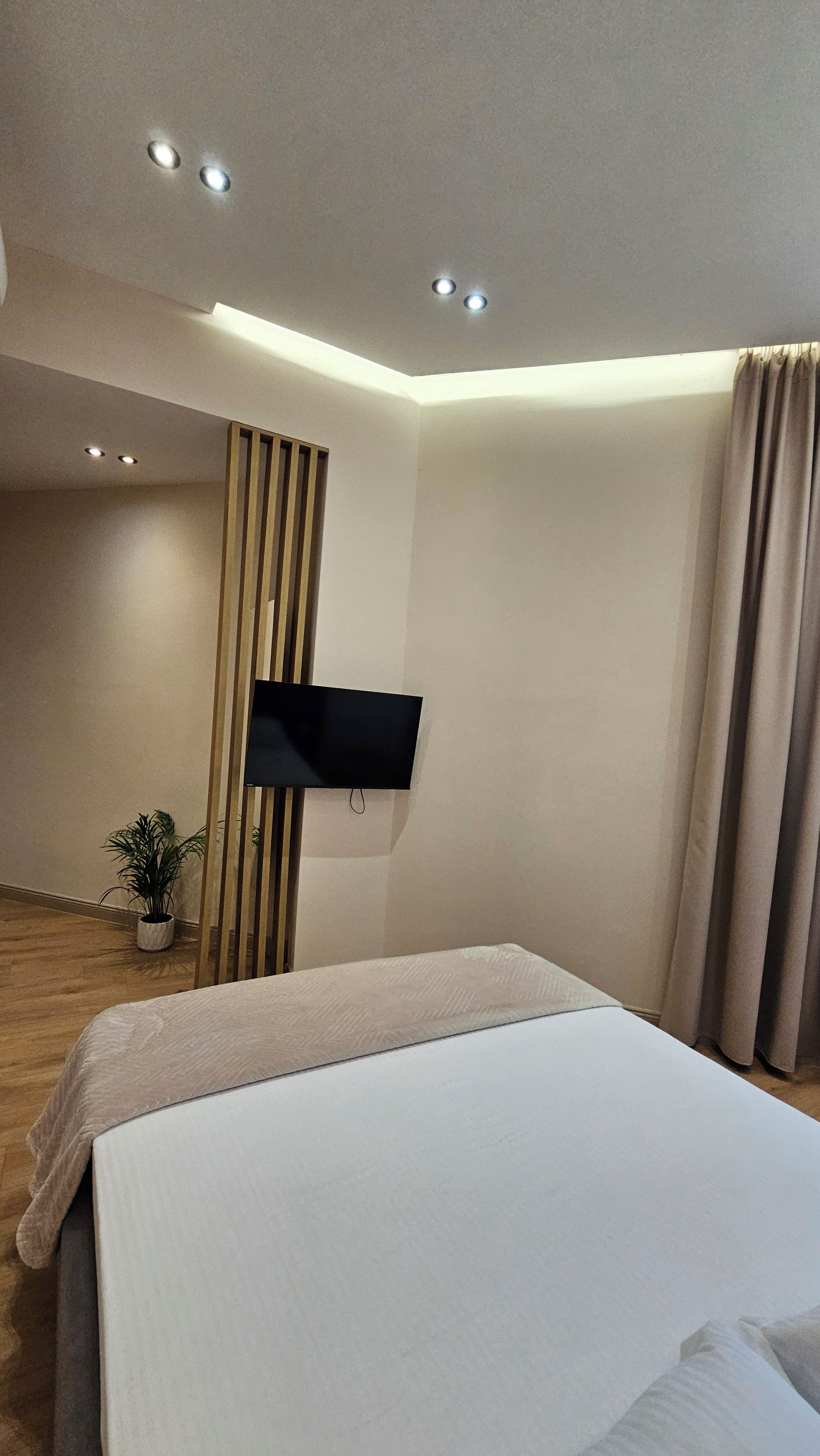 Habitación de hotel con cama, televisor de pantalla plana montado en la pared, planta en maceta y ventana con cortinas.