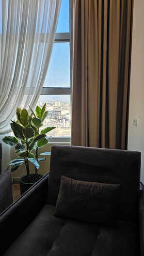 A room with a sofa, a potted plant, and a view of a cityscape through a window with sheer curtains. - The Center 102 (Shkodër)