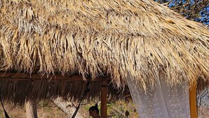 A person relaxing under a thatched roof structure by a pool. - Huella Cottage on Hilltop Views - Saltwater Pool (Cabo Velas)