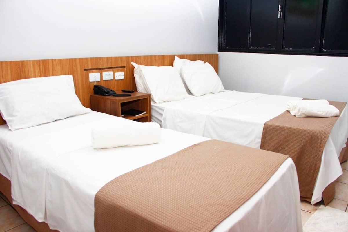 Deluxe Twin Room | Desk, laptop workspace, iron/ironing board (on request), WiFi (free)