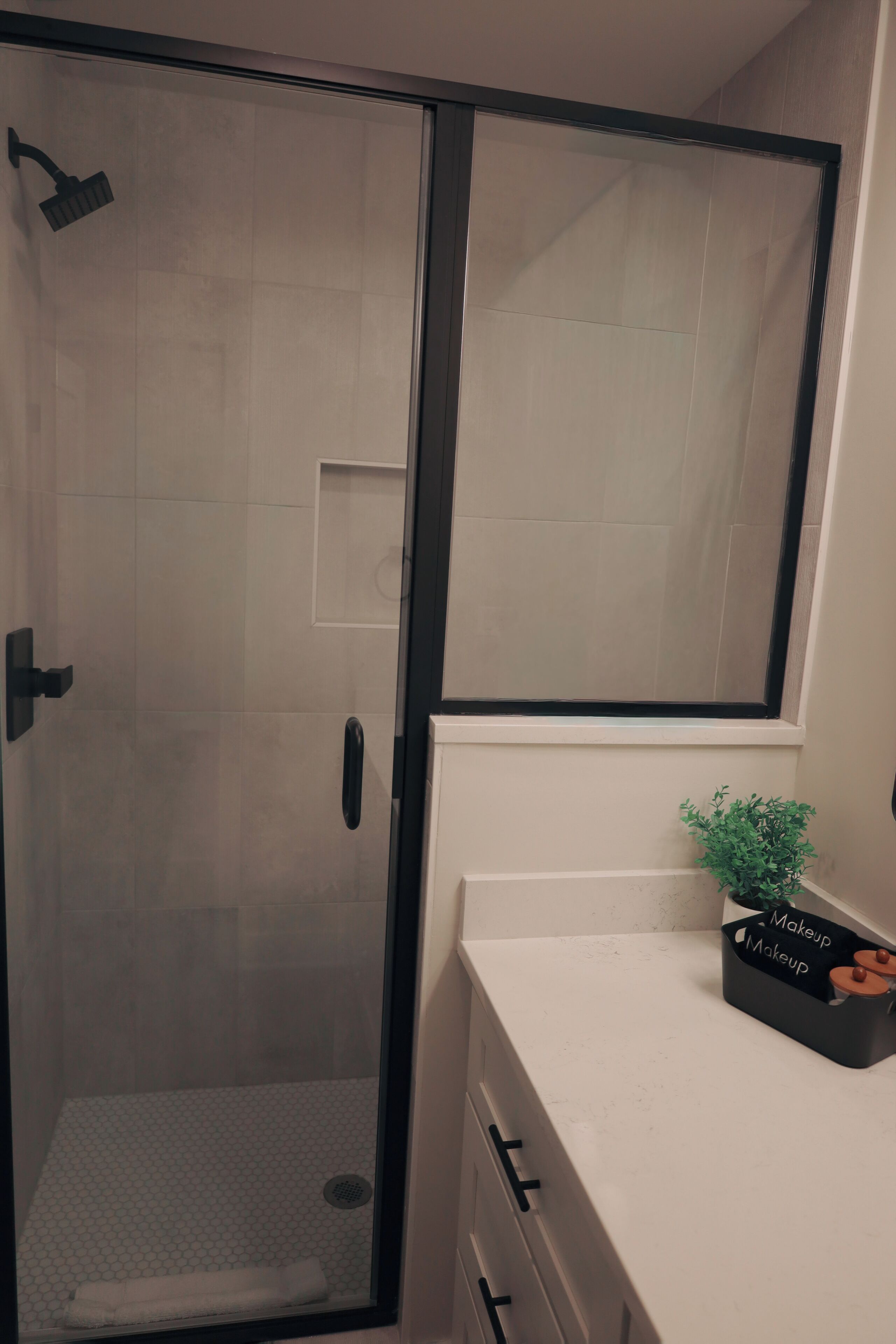 A bathroom with a glass shower enclosure, a white countertop, a small potted plant, and a makeup storage box.