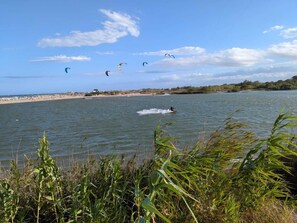 A body of water with a person on a watercraft and multiple kites in the sky. - Beachfront apartment, very large terrace, pool, air conditioning, parking (Le Barcarès)