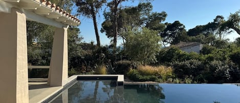 A swimming pool with a pergola, surrounded by trees and a clear sky.