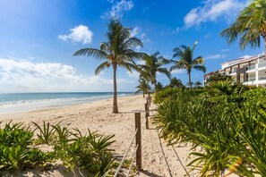 A beach with palm trees, a sandy path, and a building with balconies. - Luxury Ocean View Penthouse + Resort Pool (Playa del Carmen)