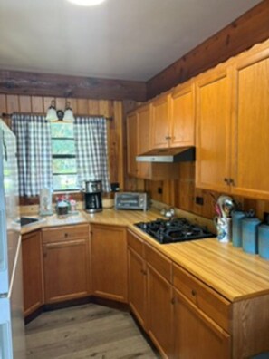 Private kitchen - Fabulous cabin on Suwannee River perfect for a relaxing getaway. (Old Town)