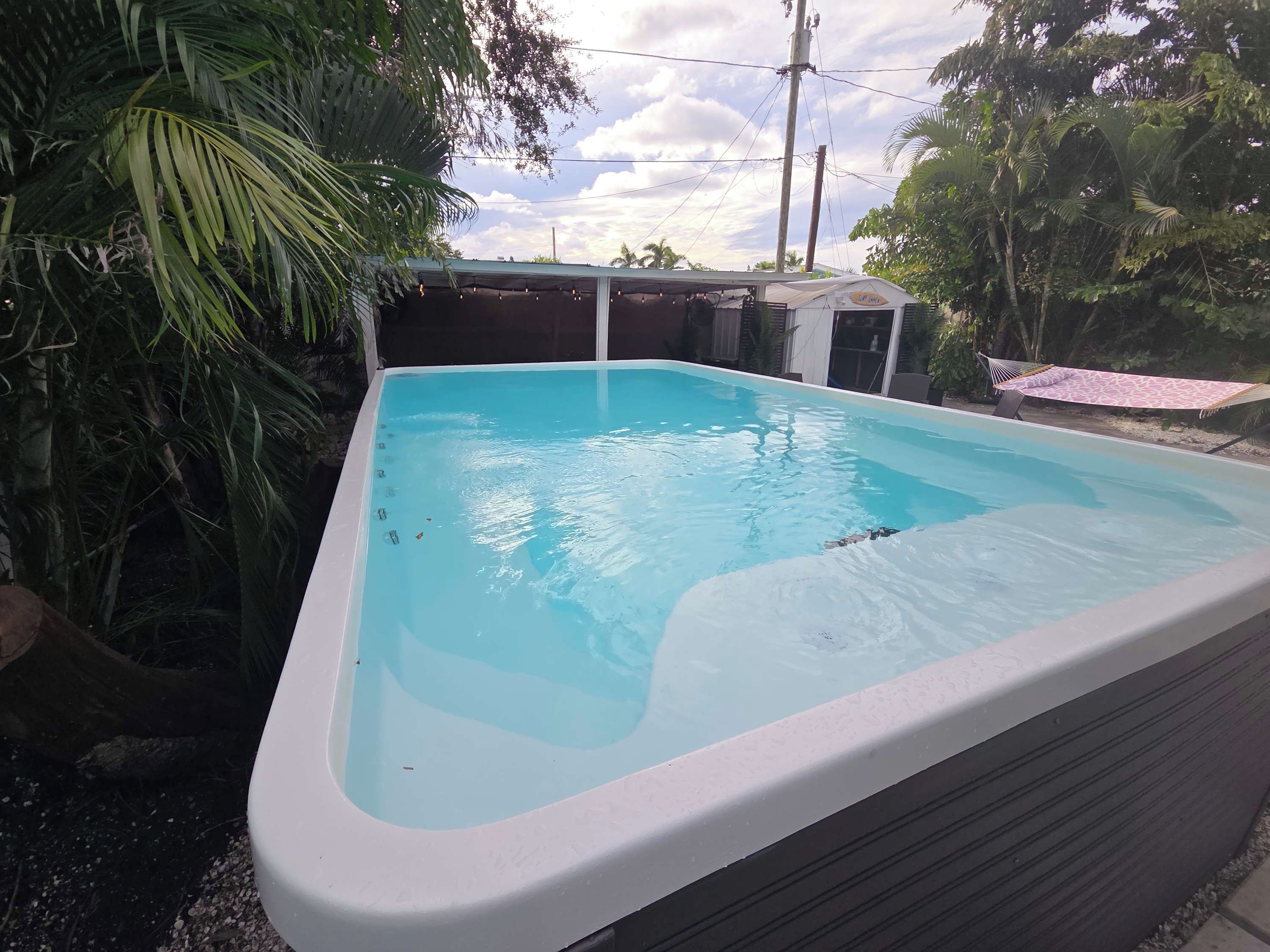 Una piscina rectangular con borde blanco, rodeada de follaje y una zona cubierta con techo.