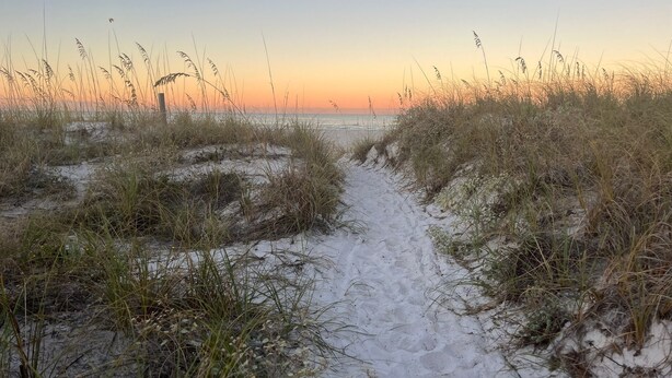 A sandy path leading to a beach with tall grasses on either side. - Beautiful spacious upgraded 2-bedroom condo sleeps 8 (St. Pete Beach)