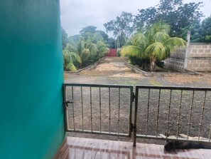 A view through a metal gate of a paved area with palm trees and a brick wall. -  5000 Square feet house for rent. (Ticuantepe)
