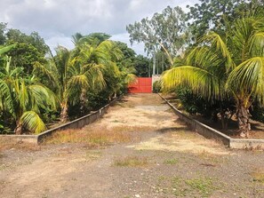 A pathway flanked by palm trees leading to a red building. -  5000 Square feet house for rent. (Ticuantepe)