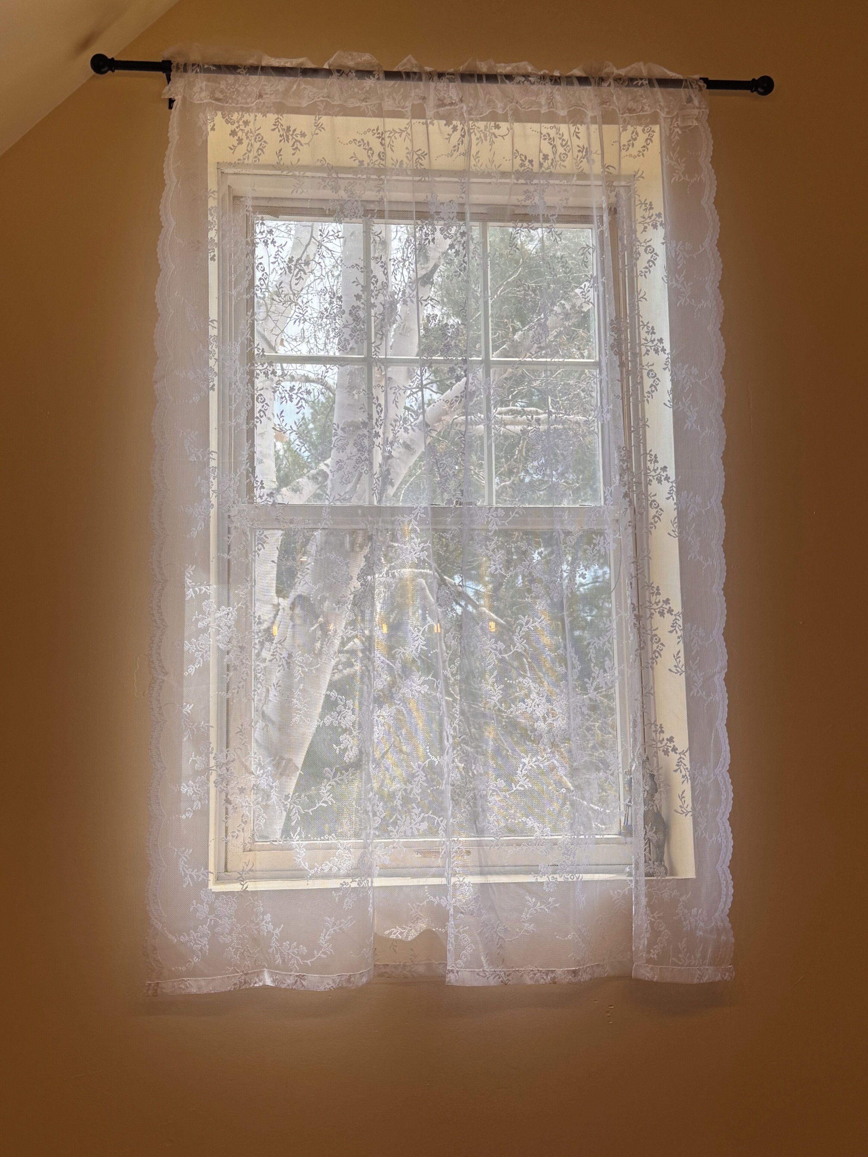 A window with a lace curtain, a wooden frame, and a view of trees outside.
