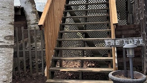 A wooden staircase leading to a loft area, surrounded by a wooden fence and a birch tree.