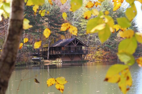 Pine Cabin: Lakefront & Pet Friendly, 1 bed/1 bath