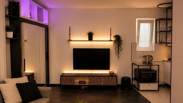 Una sala de estar moderna con televisor de pantalla plana, una mesa baja con una planta, un sofá con cojines, una zona de cocina con estufa y una ventana con persianas.