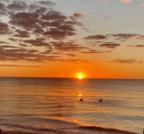 Beach - Sweet SUITE on St. Pete Beach -- Perfect for your Beach Getaway (St. Pete Beach)
