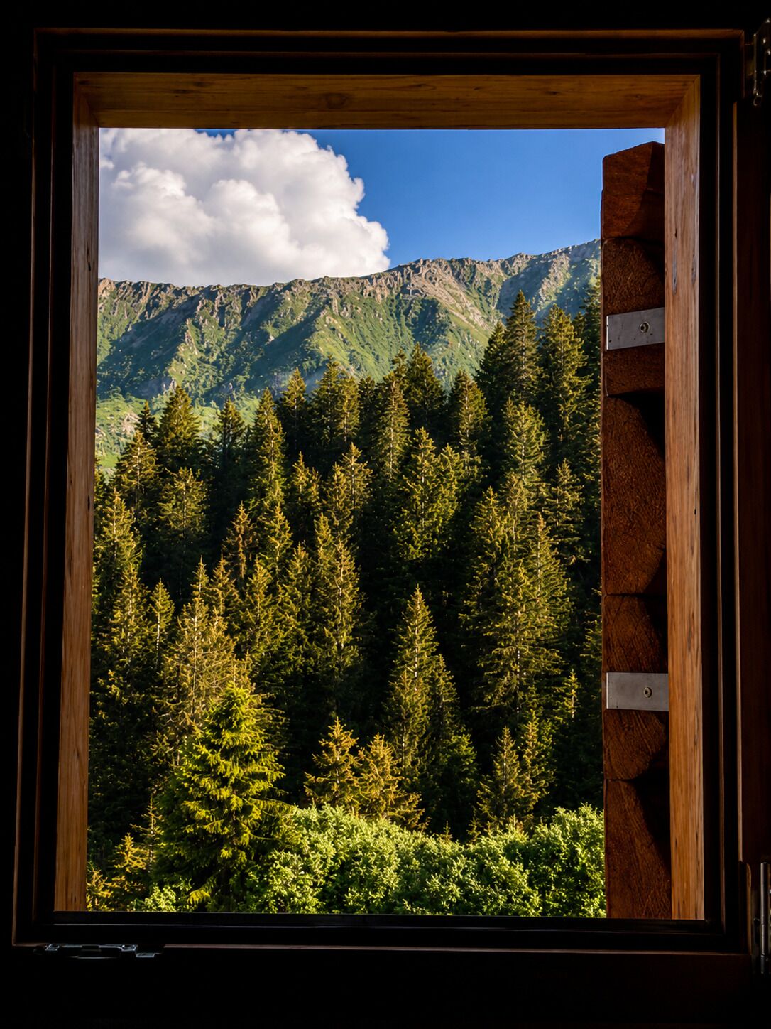 A window with a view of a forest and mountains.