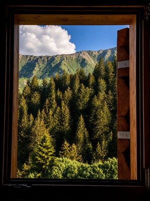 Une fenêtre donnant sur une forêt et des montagnes.
