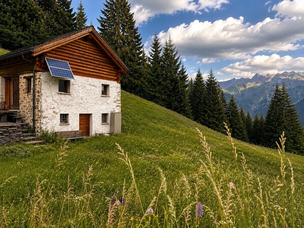 A cabin with a sloped roof, a solar panel, and a stone facade, surrounded by a grassy field and coniferous trees.
