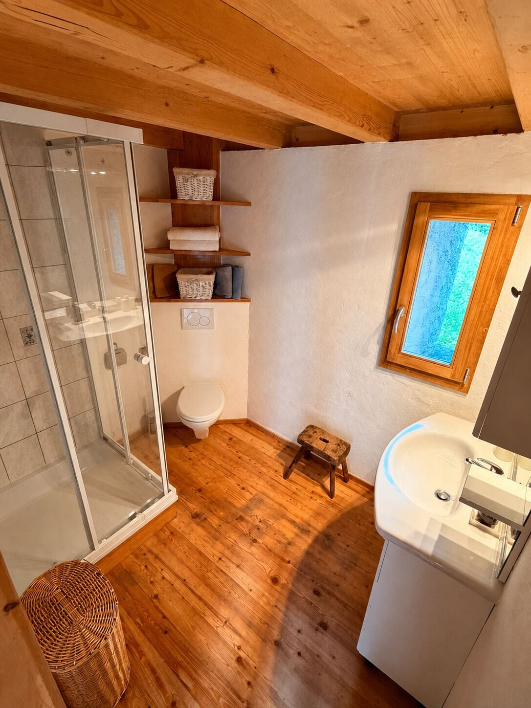 Shower, towels, toilet paper