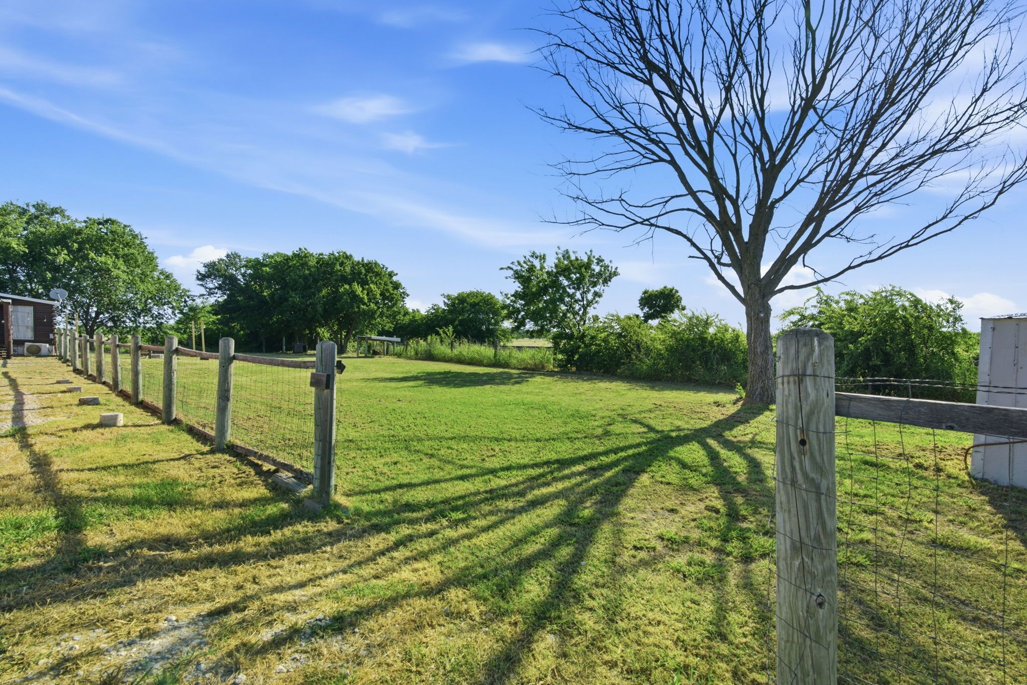 A fenced grassy area with trees and a clear sky.