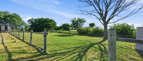A fenced grassy area with trees and a clear sky.