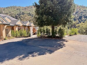 A residential area with a large tree, a driveway, and houses with a similar architectural style.