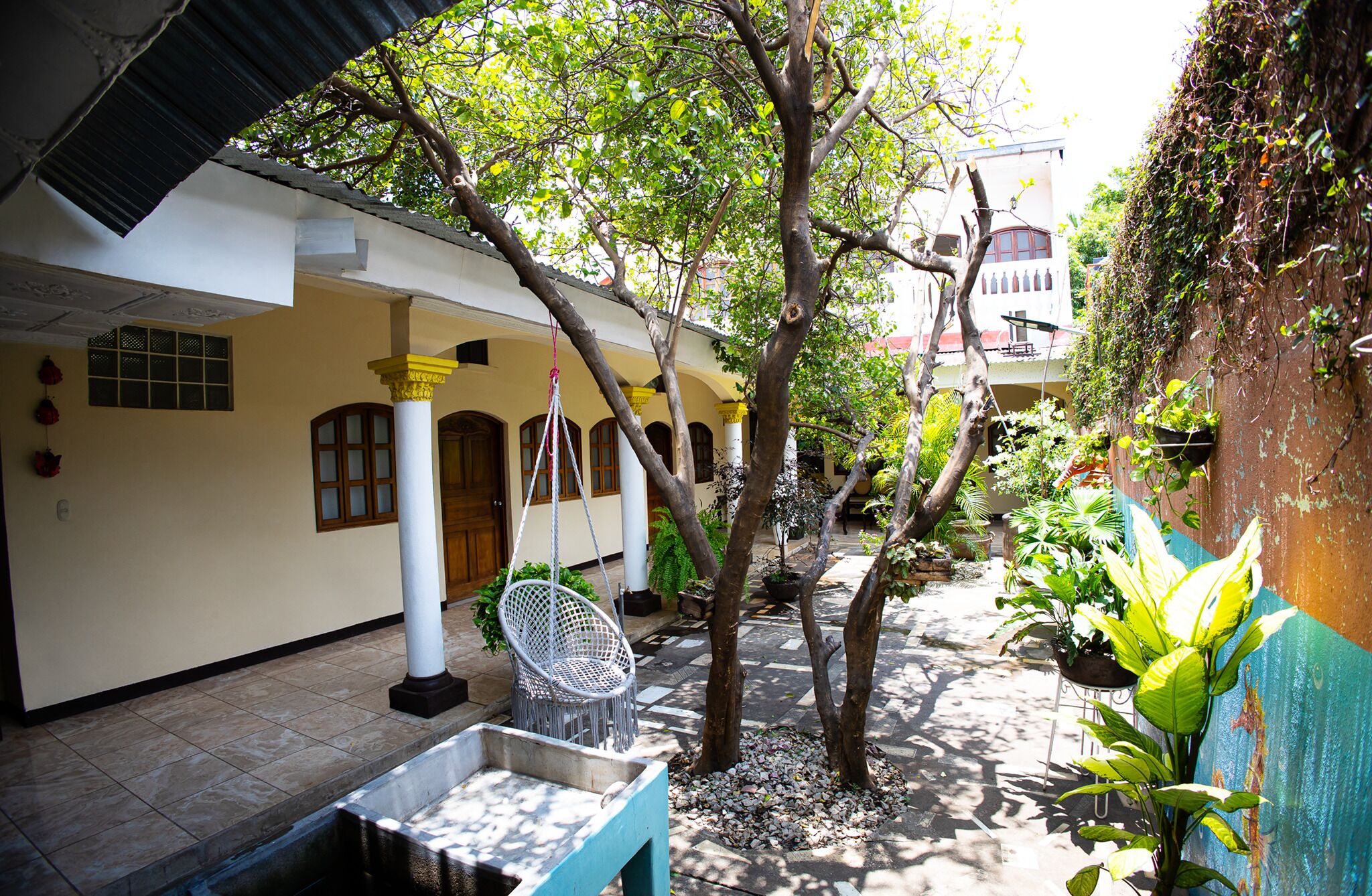 Terraza o patio