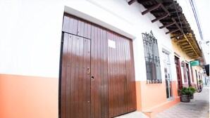 A large wooden door with a metal gate, a small window with bars, and a potted plant on the sidewalk.