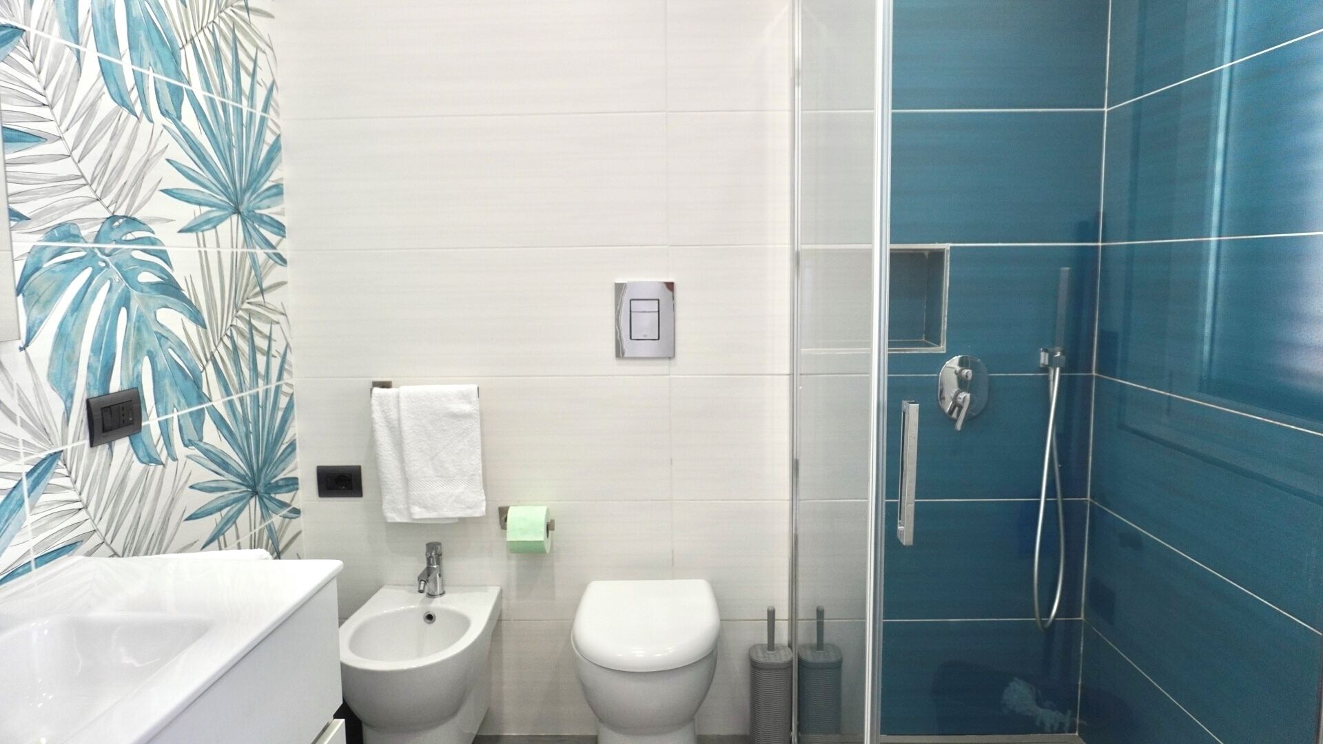 Shower, hair dryer, bidet, towels