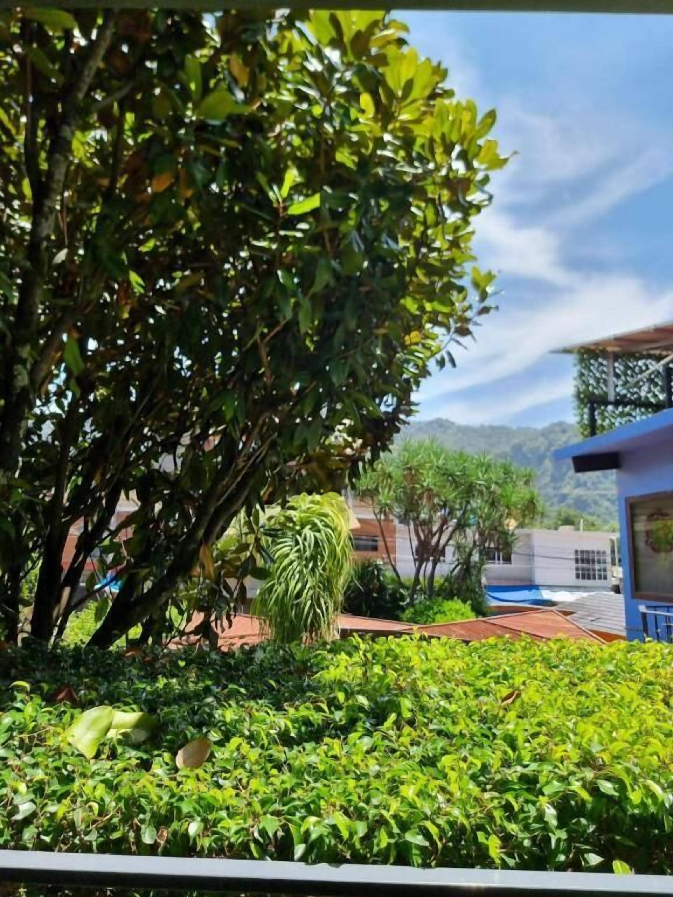 Un jardín con diversas plantas y un edificio al fondo.