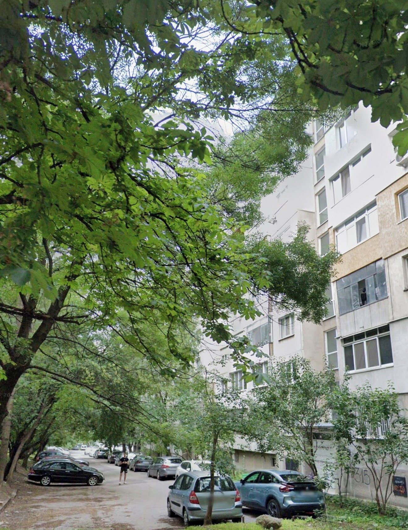 A residential street with parked cars, trees, and a multi-story building.