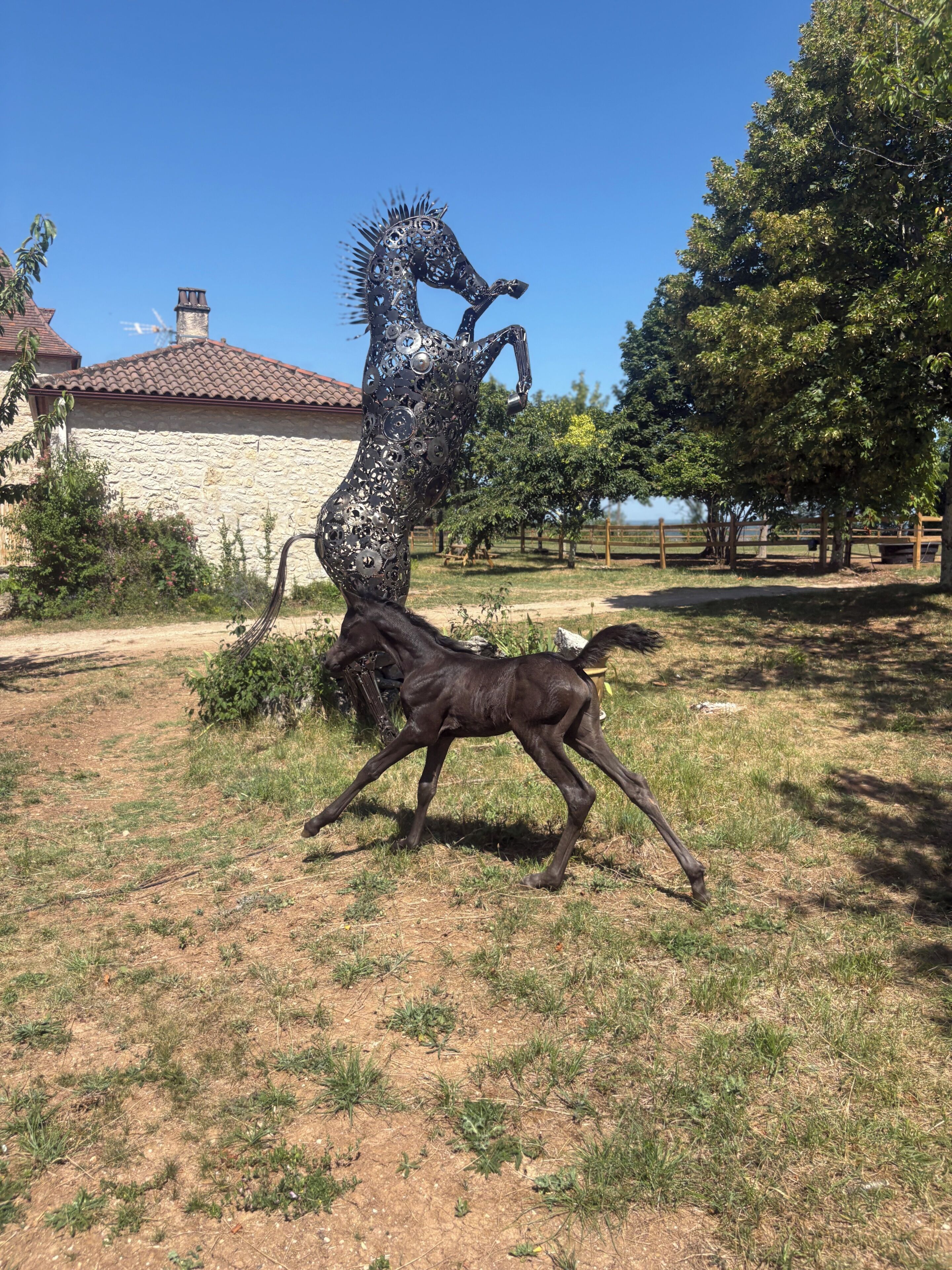 Une sculpture représentant un cheval et un chien, placée dans un espace extérieur verdoyant, avec un bâtiment en pierre en arrière-plan.