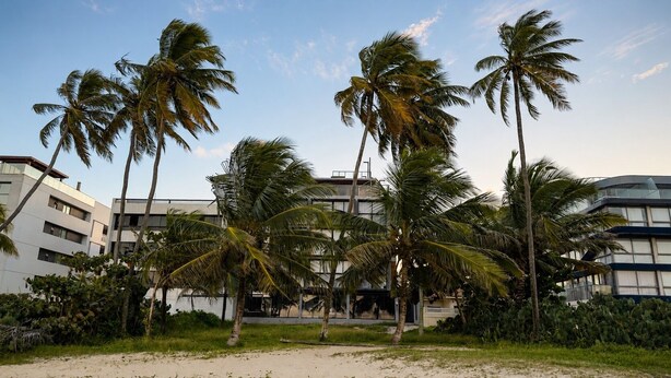 A beachfront hotel with palm trees, a sandy beach, and modern buildings in the background. - Beachfront property in Bessa | Ocean view with pool (João Pessoa)