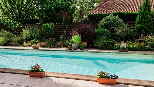 Ein Swimmingpool mit gefliestem Deck, umgeben von verschiedenen Topfpflanzen und Grünpflanzen.