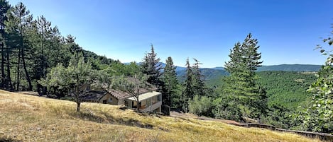 A house with a sloped roof, surrounded by trees and a view of distant mountains.