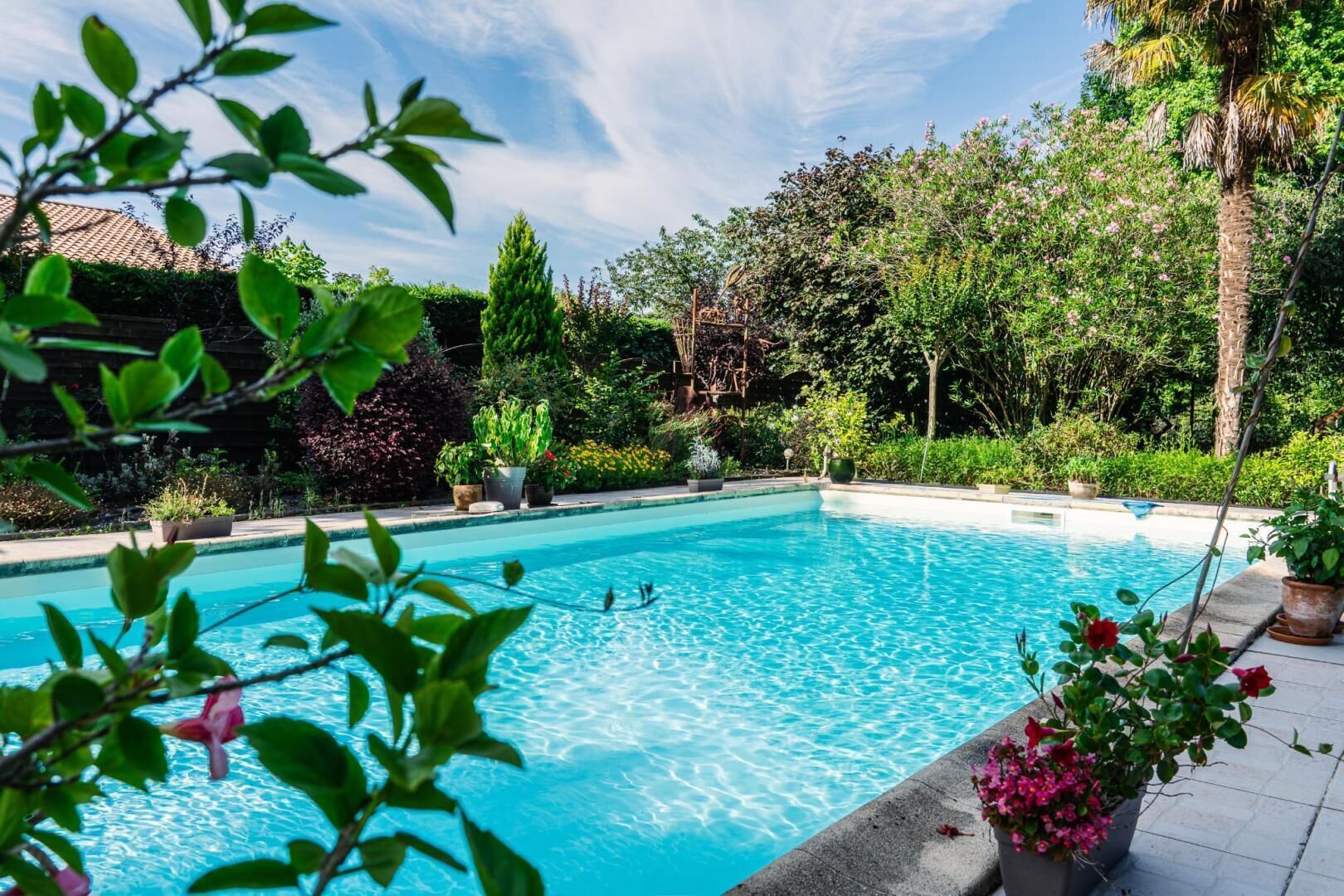 Ein Schwimmbecken, umgeben von üppiger Vegetation und Blumentöpfen.