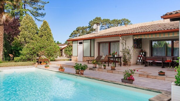 Un área junto a la piscina con una piscina cristalina, mobiliario de exterior y plantas en macetas.