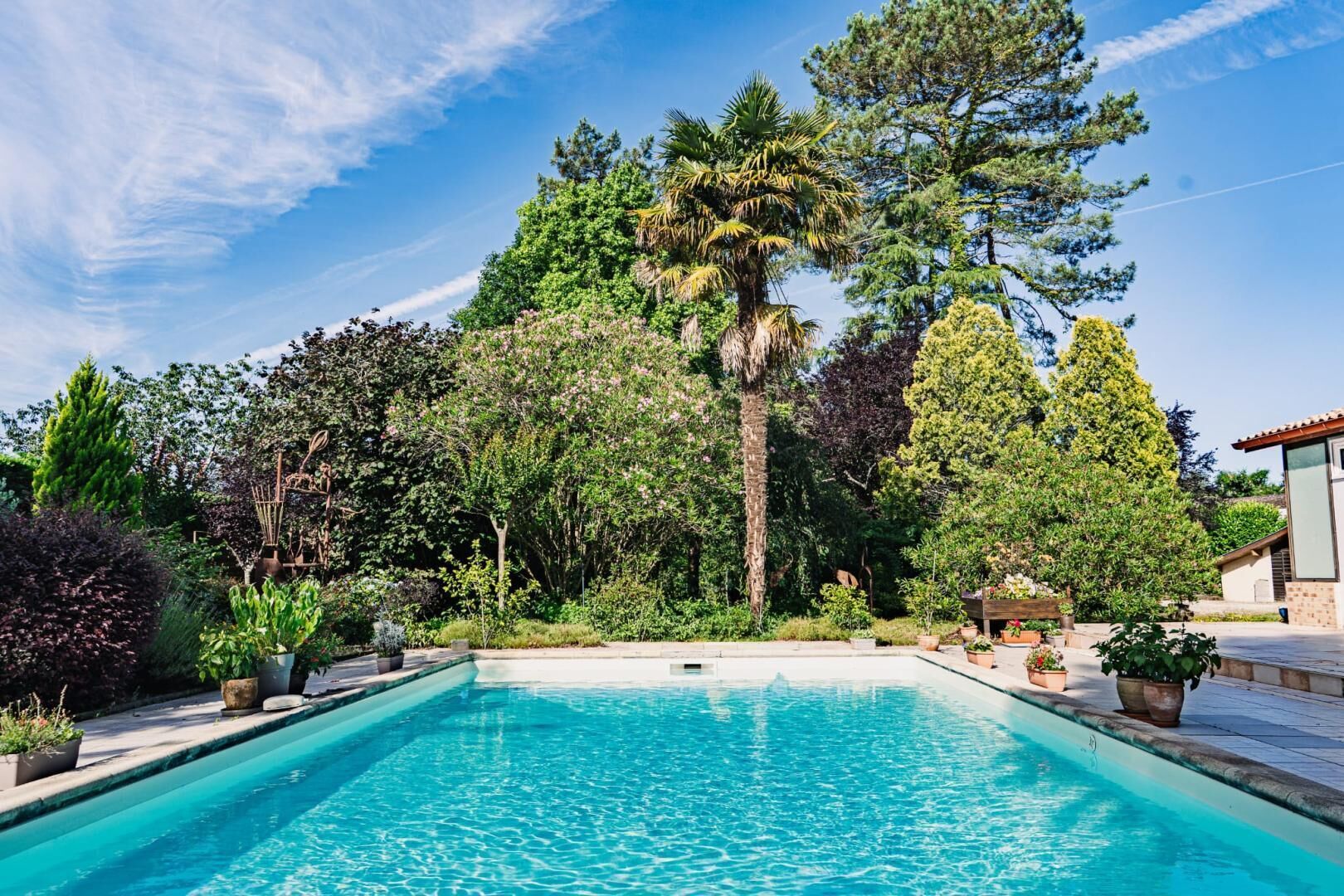 Une piscine entourée d’une végétation luxuriante et de grands arbres.