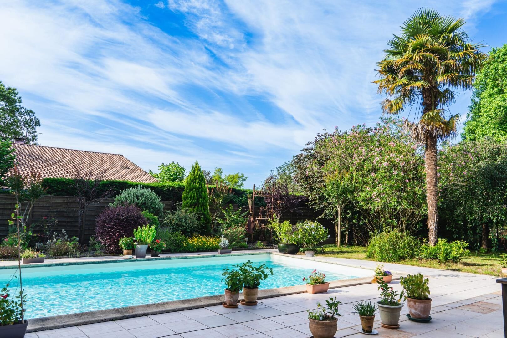 A swimming pool surrounded by potted plants and a variety of trees.