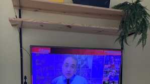 En tv-apparat som är monterad på en hylla av trä, med en växt placerad bredvid.