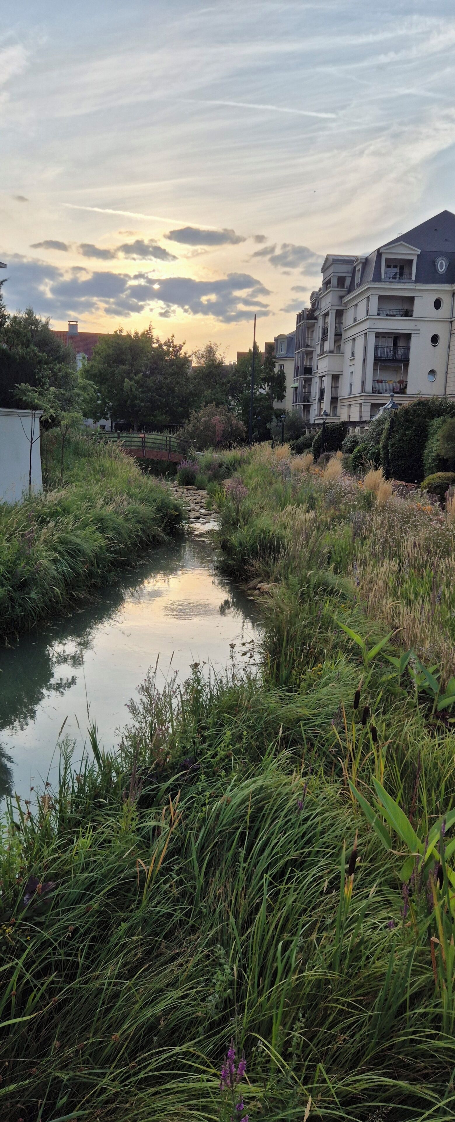 Un étroit canal bordé d’une végétation luxuriante et de bâtiments résidentiels.
