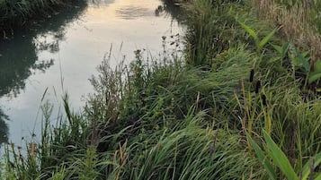 Un étroit canal bordé d’une végétation luxuriante et de bâtiments résidentiels.