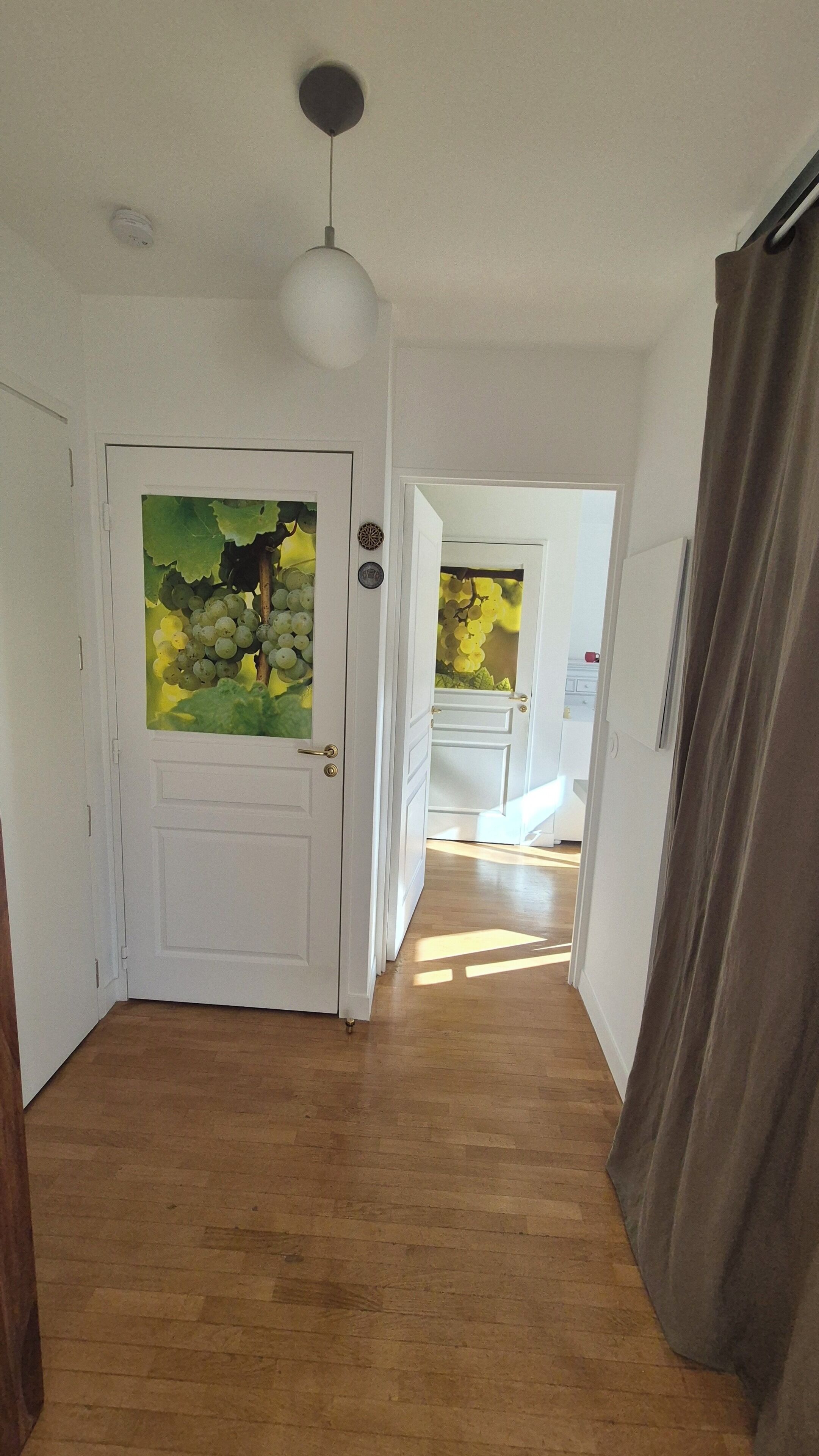 Een gang met een witte deur, een plafondlamp en een zicht op een andere kamer.
