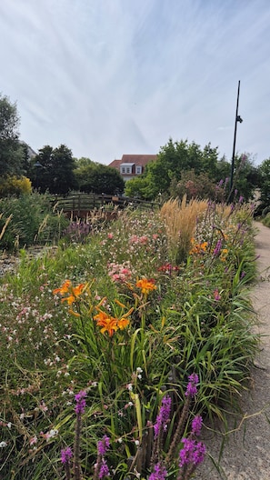 A garden with a variety of flowers and a pathway. - 2-Room Apartment in Paris and Versailles with Balcony, Terrace, and Greenery (Le Plessis-Robinson)